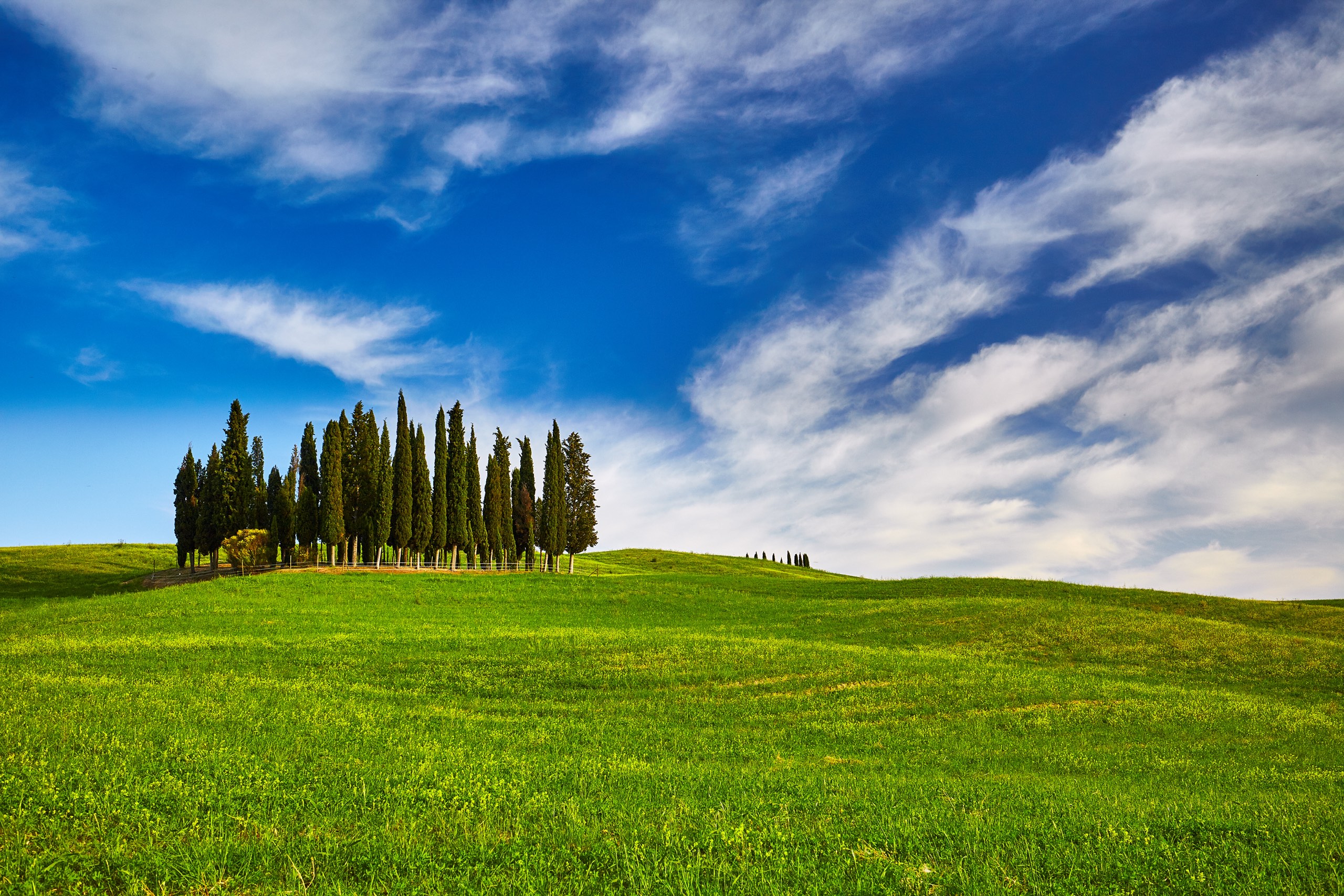 Val D’Orcia: Your Private Car Awaits