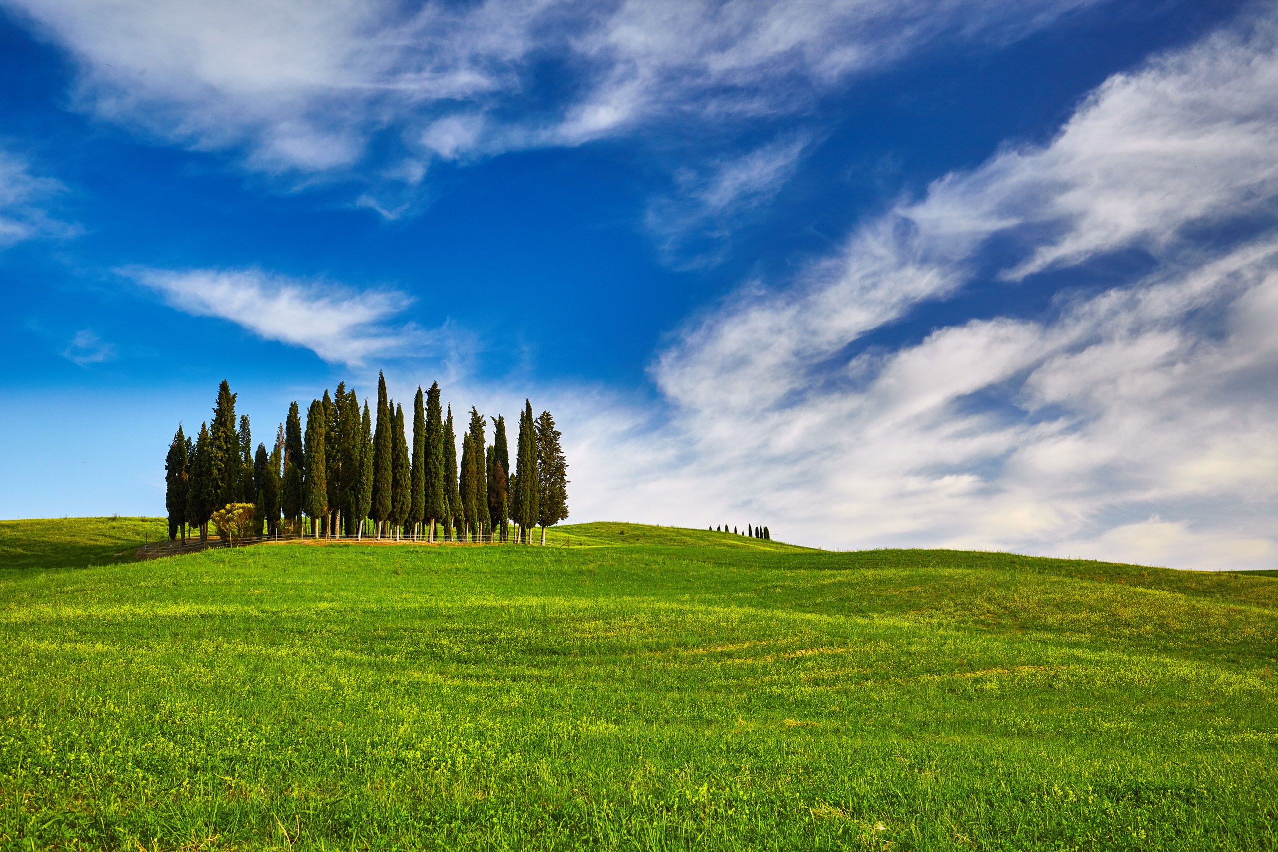 Tour della Val D’Orcia con Auto Privata