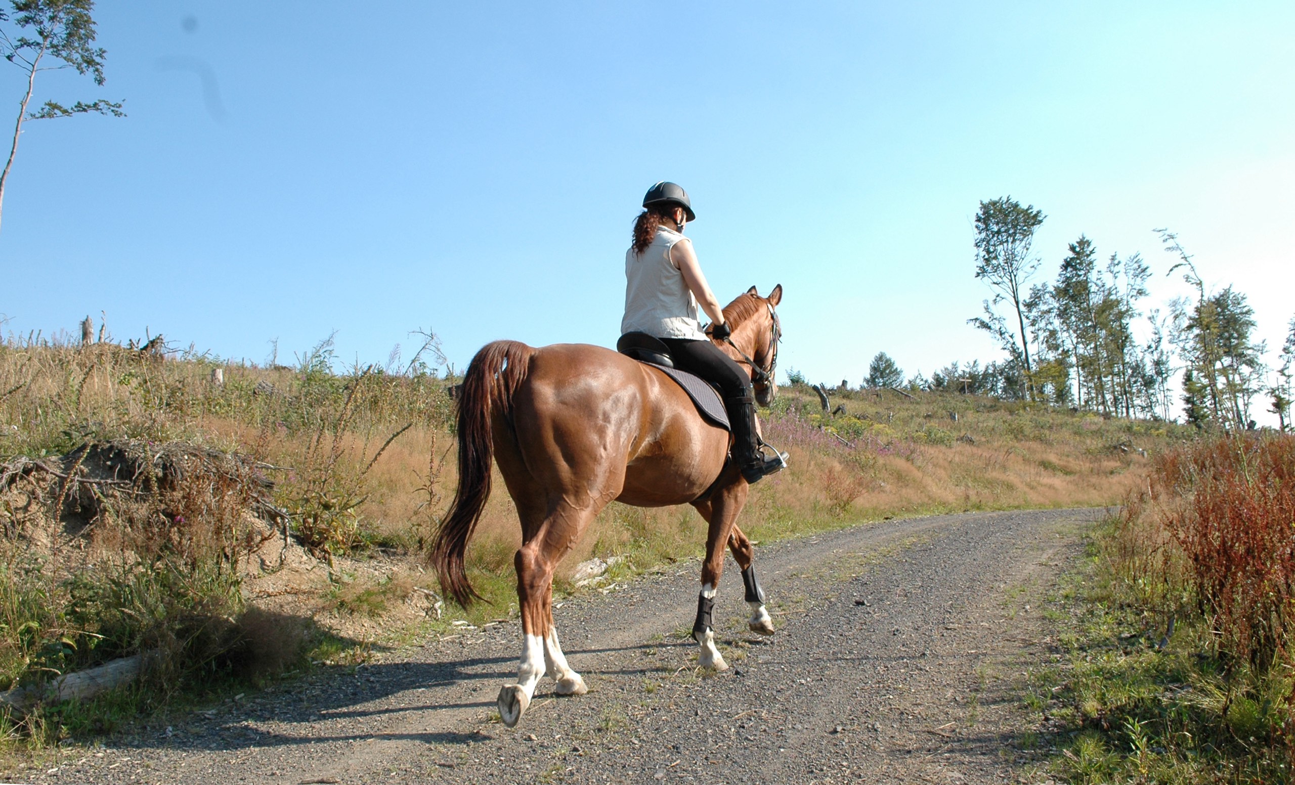 Explore Tuscan Beauty On Horseback